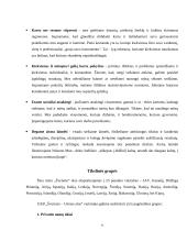 Pasirinkto nacionalinio prekės ženklo vertinimo ir tobulinimo programos parengimas 5 puslapis