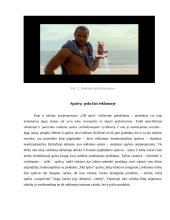 Vartotojų elgsena - reklamos analizė 4 puslapis