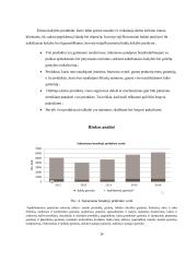 Verslo projektas - inovatyvūs baldai 14 puslapis