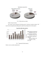 Verslo projektas - inovatyvūs baldai 16 puslapis