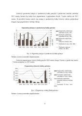 Verslo projektas - inovatyvūs baldai 17 puslapis