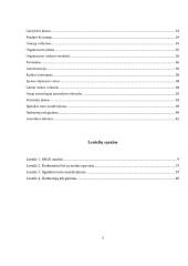 Verslo projektas - inovatyvūs baldai 3 puslapis