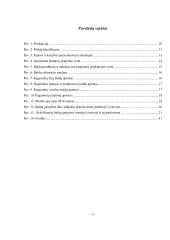 Verslo projektas - inovatyvūs baldai 4 puslapis