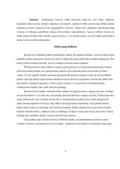 Verslo projektas - inovatyvūs baldai 6 puslapis