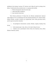 Pasaulio ūkio struktūra 3 puslapis