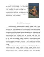 Plastinės operacijos: kodėl natūralumas šiais laikais nemadingas 8 puslapis