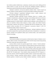 Praktikos ataskaita: siuvimo įmonė UAB "Omniteksas" 17 puslapis