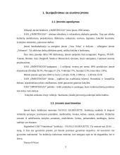 Praktikos ataskaita: siuvimo įmonė UAB "Omniteksas" 3 puslapis