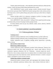 Praktikos ataskaita: siuvimo įmonė UAB "Omniteksas" 4 puslapis