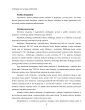 Praktikos ataskaita: siuvimo įmonė UAB "Omniteksas" 8 puslapis