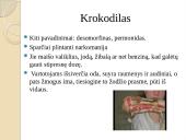 Narkotikai, skirtingų narkotikų aprašymai 11 puslapis