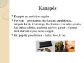 Narkotikai, skirtingų narkotikų aprašymai 4 puslapis