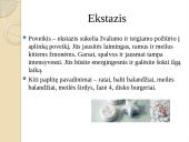 Narkotikai, skirtingų narkotikų aprašymai 5 puslapis