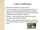 Narkotikai, skirtingų narkotikų aprašymai 9 puslapis