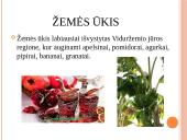 Azijos valstybės – Turkija 13 puslapis