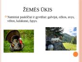 Azijos valstybės – Turkija 14 puslapis