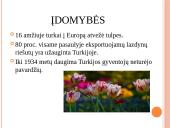 Azijos valstybės – Turkija 19 puslapis