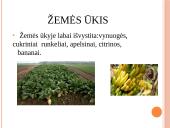 Europos valstybės – Ispanija 13 puslapis