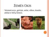 Europos valstybės – Ispanija 14 puslapis