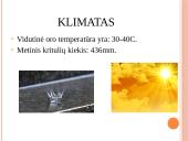 Europos valstybės – Ispanija 9 puslapis