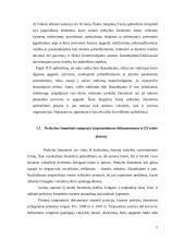 Prekybos žmonėmis fenomenas 5 puslapis