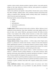 Prekių paskirstymo kanalai 12 puslapis