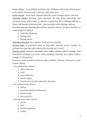 Prekių paskirstymo kanalai 4 puslapis