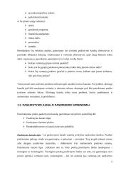 Prekių paskirstymo kanalai 5 puslapis