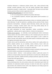 Prekių paskirstymo kanalai 6 puslapis