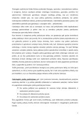 Prekių paskirstymo kanalai 7 puslapis