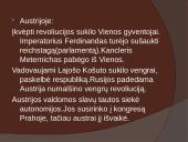 Nacionalizmo epocha Europoje 16 puslapis