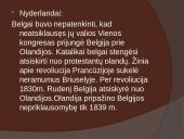 Nacionalizmo epocha Europoje 7 puslapis