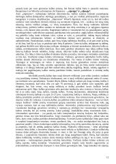 Prestižinė kalba 11 puslapis