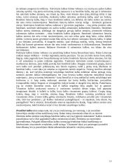 Prestižinė kalba 12 puslapis