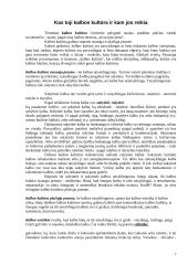 Prestižinė kalba 6 puslapis