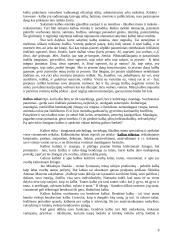 Prestižinė kalba 7 puslapis