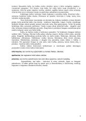 Prestižinė kalba 8 puslapis