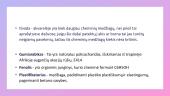 Cheminės medžiagos dažuose 9 puslapis