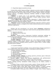 Priešgaisrinės apsaugos organizavimas įmonėje 12 puslapis