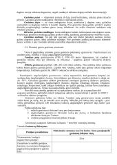 Priešgaisrinės apsaugos organizavimas įmonėje 13 puslapis