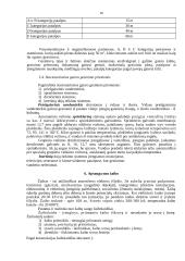 Priešgaisrinės apsaugos organizavimas įmonėje 14 puslapis