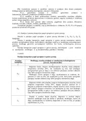 Priešgaisrinės apsaugos organizavimas įmonėje 6 puslapis