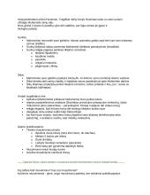 Viduramžių teorija 3 puslapis