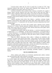 Bulvių auginimo ypatumai Lietuvoje 5 puslapis