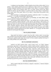 Bulvių auginimo ypatumai Lietuvoje 6 puslapis