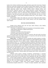 Bulvių auginimo ypatumai Lietuvoje 8 puslapis