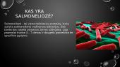 Kas yra salmoneliozė? 2 puslapis