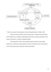 Nerimo sutrikimai: fobijos, panikos priepuoliai, baimė 13 puslapis