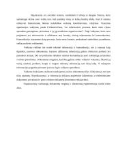 Raštvedyba 2 puslapis