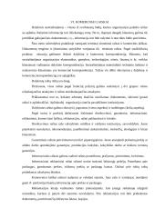 Raštvedyba 16 puslapis